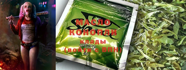 шишки Баксан