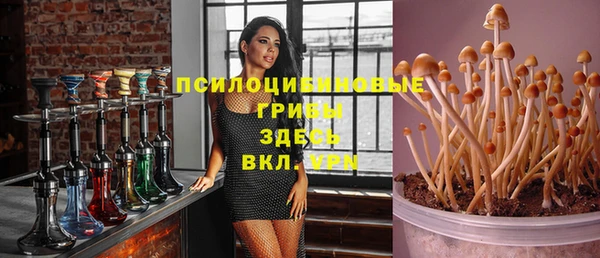 шишки Баксан