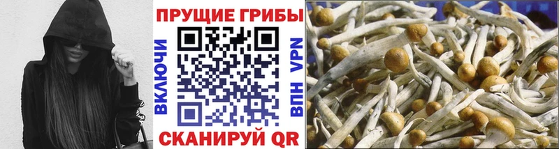 ОМГ ОМГ онион  Коммунар  Галлюциногенные грибы Magic Shrooms  наркошоп 